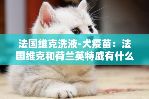 法國維克洗液-犬疫苗：法國維克和荷蘭英特威有什么區別?