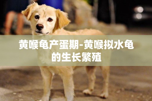 黃喉龜產蛋期-黃喉擬水龜的生長繁殖