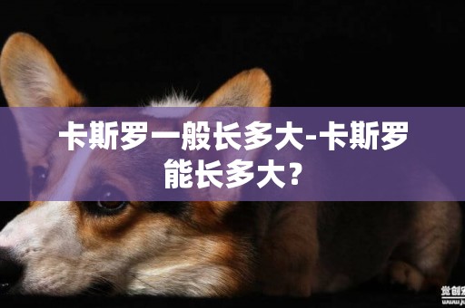 卡斯羅一般長多大-卡斯羅能長多大？