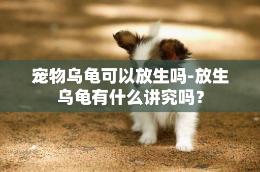 寵物烏龜可以放生嗎-放生烏龜有什么講究嗎？