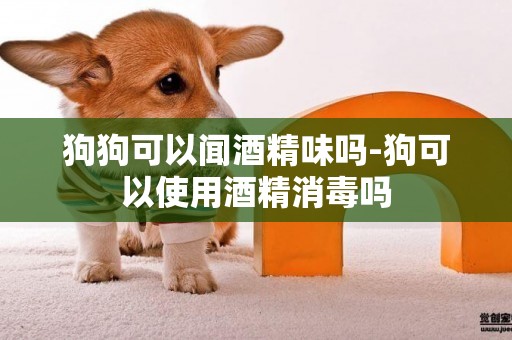 狗狗可以聞酒精味嗎-狗可以使用酒精消毒嗎