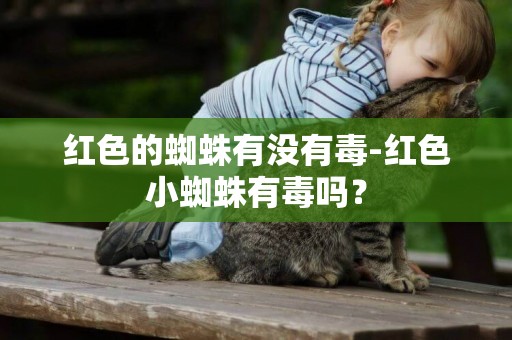 紅色的蜘蛛有沒有毒-紅色小蜘蛛有毒嗎？