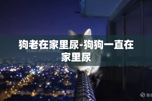 狗老在家里尿-狗狗一直在家里尿