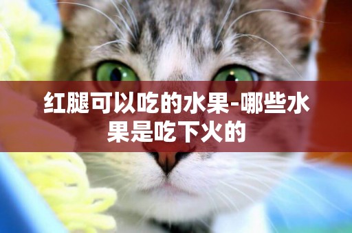 紅腿可以吃的水果-哪些水果是吃下火的