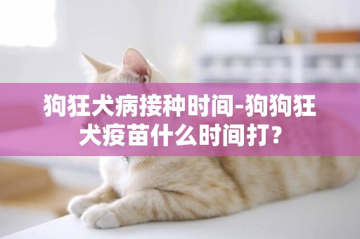 狗狂犬病接種時間-狗狗狂犬疫苗什么時間打？