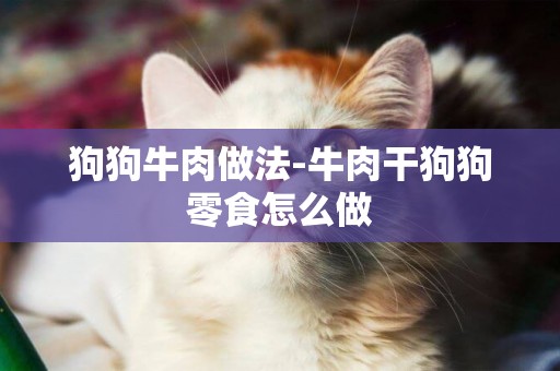 狗狗牛肉做法-牛肉干狗狗零食怎么做