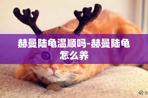 赫曼陸龜溫順嗎-赫曼陸龜怎么養