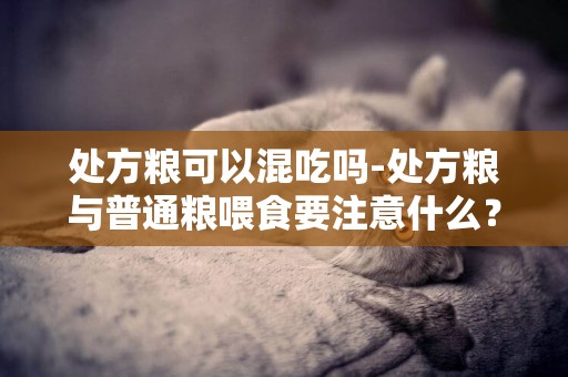 處方糧可以混吃嗎-處方糧與普通糧喂食要注意什么？