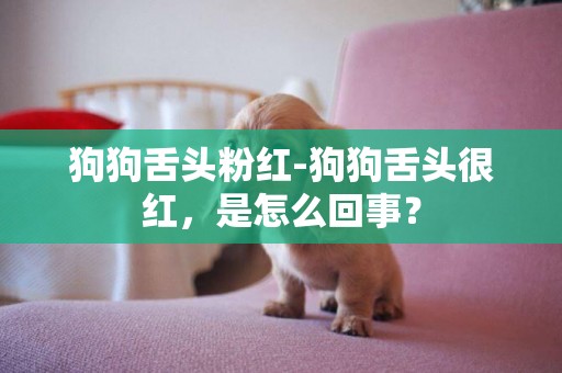 狗狗舌頭粉紅-狗狗舌頭很紅，是怎么回事？
