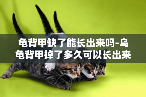 龜背甲缺了能長出來嗎-烏龜背甲掉了多久可以長出來