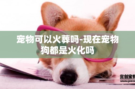 寵物可以火葬嗎-現在寵物狗都是火化嗎