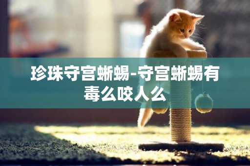 珍珠守宮蜥蜴-守宮蜥蜴有毒么咬人么