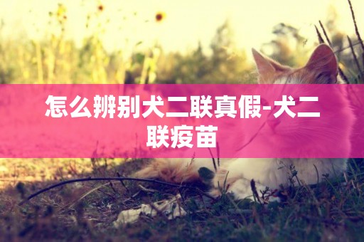 怎么辨別犬二聯真假-犬二聯疫苗