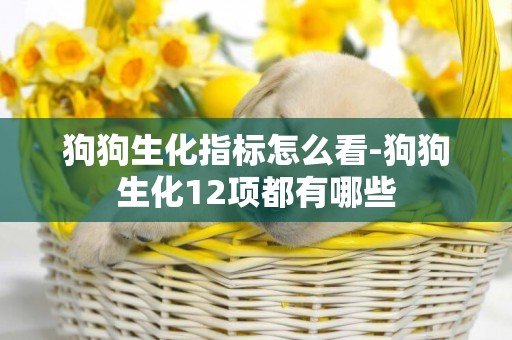 狗狗生化指標怎么看-狗狗生化12項都有哪些
