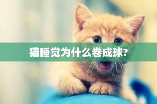 貓睡覺為什么卷成球?