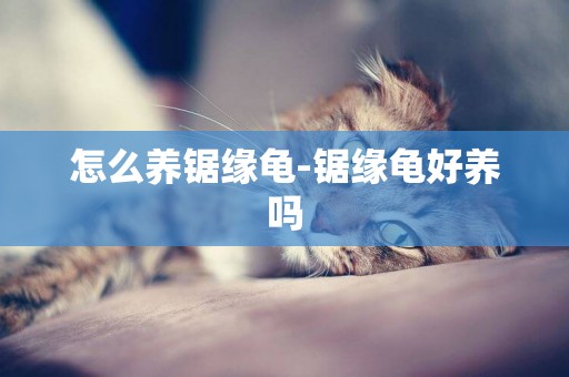 怎么養鋸緣龜-鋸緣龜好養嗎