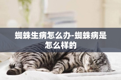 蜘蛛生病怎么辦-蜘蛛病是怎么樣的