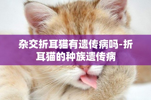 雜交折耳貓有遺傳病嗎-折耳貓的種族遺傳病