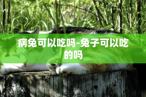 病兔可以吃嗎-兔子可以吃的嗎