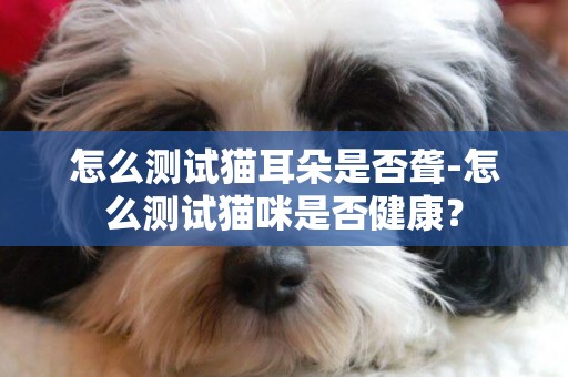怎么測試貓耳朵是否聾-怎么測試貓咪是否健康？