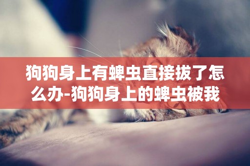 狗狗身上有蜱蟲直接拔了怎么辦-狗狗身上的蜱蟲被我強行拔掉了，怎么辦