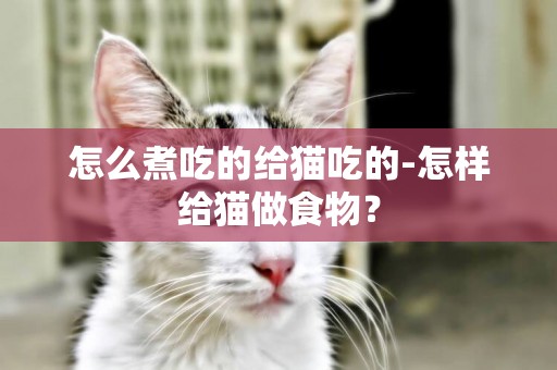 怎么煮吃的給貓吃的-怎樣給貓做食物？