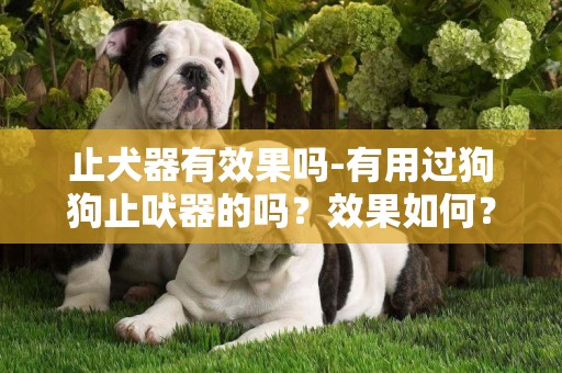 止犬器有效果嗎-有用過狗狗止吠器的嗎？效果如何？