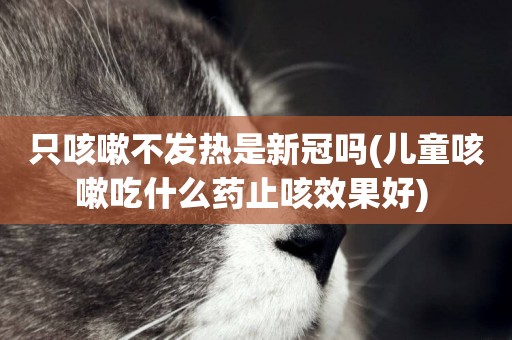 只咳嗽不發熱是新冠嗎(兒童咳嗽吃什么藥止咳效果好) 