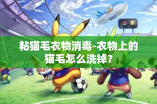 粘貓毛衣物消毒-衣物上的貓毛怎么洗掉？