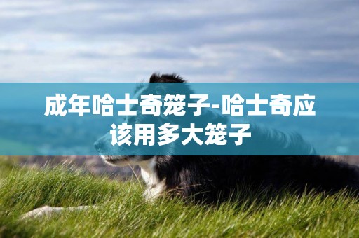 成年哈士奇籠子-哈士奇應該用多大籠子