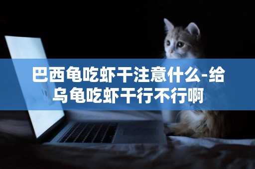 巴西龜吃蝦干注意什么-給烏龜吃蝦干行不行啊
