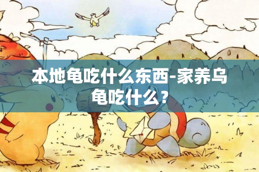 本地龜吃什么東西-家養烏龜吃什么？