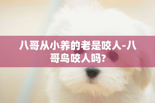 八哥從小養的老是咬人-八哥鳥咬人嗎?