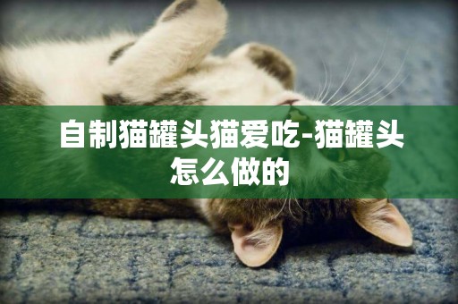 自制貓罐頭貓愛吃-貓罐頭怎么做的