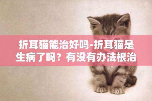 折耳貓能治好嗎-折耳貓是生病了嗎？有沒有辦法根治？