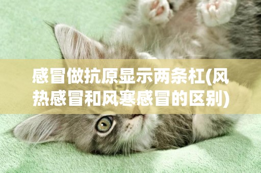 感冒做抗原顯示兩條杠(風熱感冒和風寒感冒的區別) 