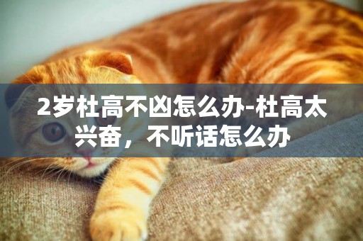 2歲杜高不兇怎么辦-杜高太興奮，不聽話怎么辦