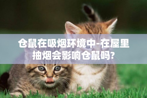 倉鼠在吸煙環境中-在屋里抽煙會影響倉鼠嗎?