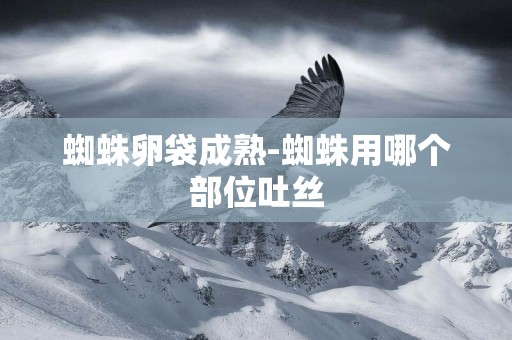 蜘蛛卵袋成熟-蜘蛛用哪個部位吐絲