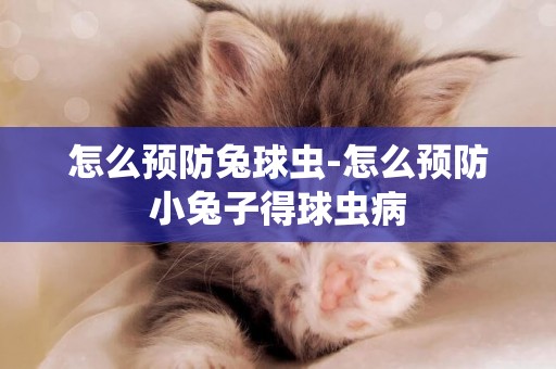 怎么預防兔球蟲-怎么預防小兔子得球蟲病