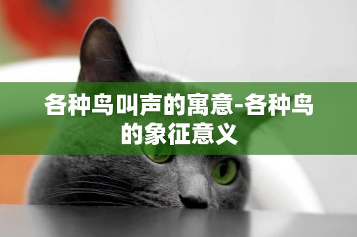 各種鳥叫聲的寓意-各種鳥的象征意義