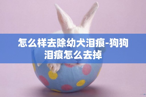 怎么樣去除幼犬淚痕-狗狗淚痕怎么去掉