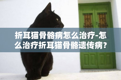 折耳貓骨骼病怎么治療-怎么治療折耳貓骨骼遺傳病？？