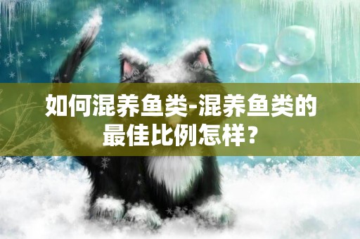 如何混養魚類-混養魚類的最佳比例怎樣？