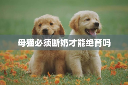 母貓必須斷奶才能絕育嗎