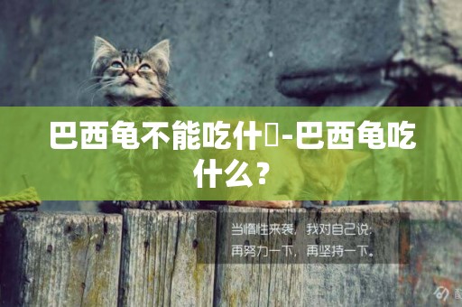 巴西龜不能吃什麼-巴西龜吃什么？