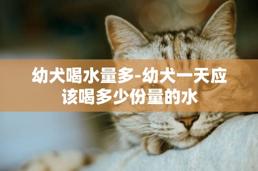 幼犬喝水量多-幼犬一天應該喝多少份量的水