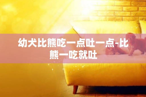 幼犬比熊吃一點吐一點-比熊一吃就吐