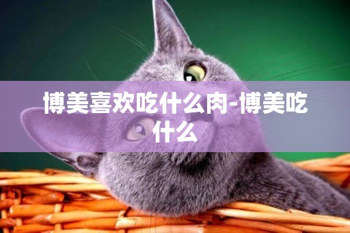 博美喜歡吃什么肉-博美吃什么