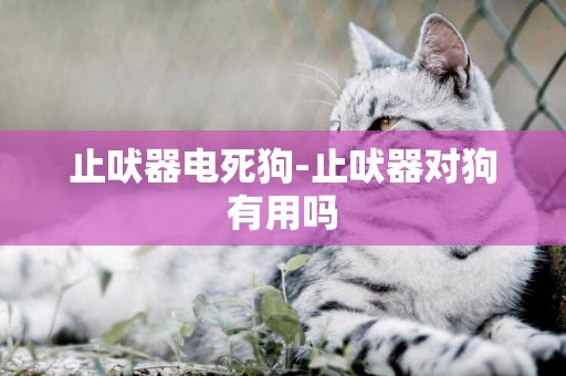 止吠器電死狗-止吠器對狗有用嗎
